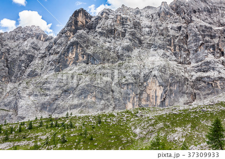 National Park panorama and Dolomiti mountains  37309933