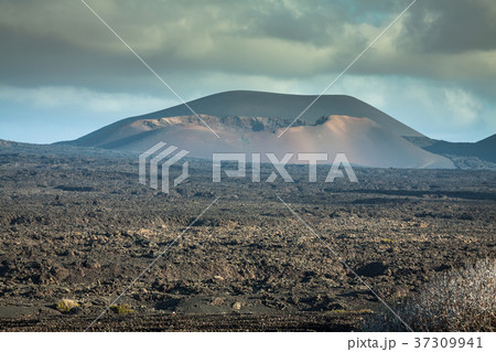 Timanfaya National Park in Lanzarote, Canary Timanfaya National Park in Lanzarote, Canary 37309941