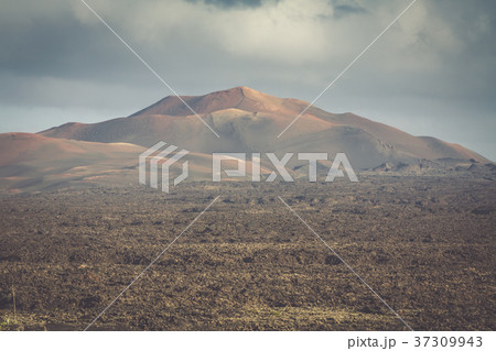 Timanfaya National Park in Lanzarote, Canary Timanfaya National Park in Lanzarote, Canary 37309943