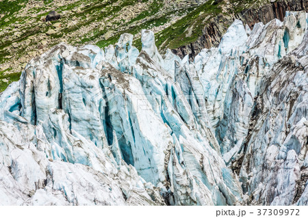 View on Argentiere glacier. Hiking to Argentiere  37309972