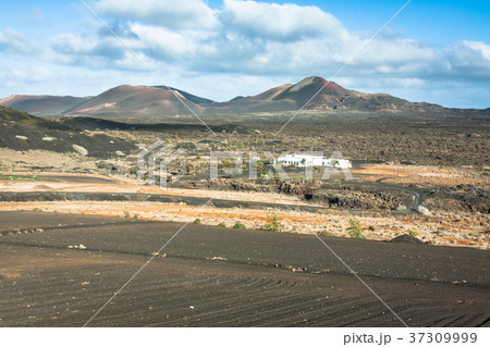 Timanfaya National Park in Lanzarote, Canary Timanfaya National Park in Lanzarote, Canary 37309999