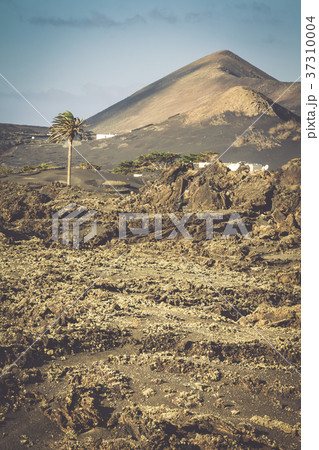 Timanfaya National Park in Lanzarote, Canary  37310004