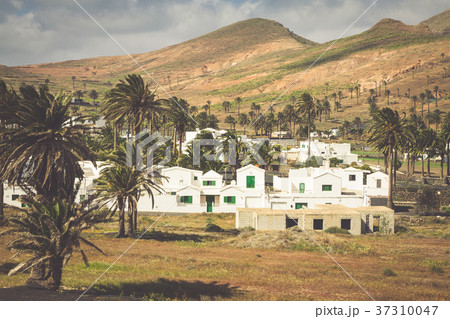 La Haria in Lanzarote - popular tourist  37310047