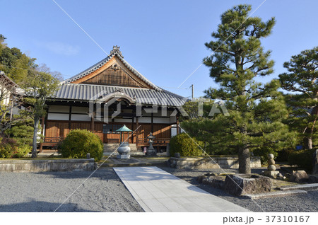 大善寺　伏見六地蔵 37310167