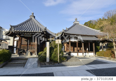 大善寺 伏見六地蔵 大善寺 伏見六地蔵 37310168