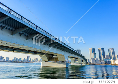 晴海大橋と晴海の高層マンション 37310274