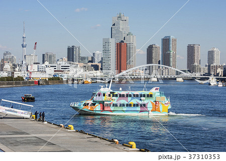 竹芝ふ頭に到着するセブンアイランド友 竹芝ふ頭に到着するセブンアイランド友 37310353