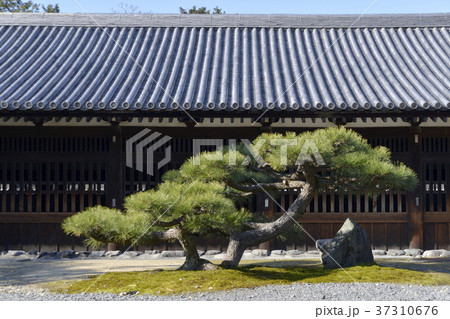 東福寺 東司 東福寺 東司 37310676
