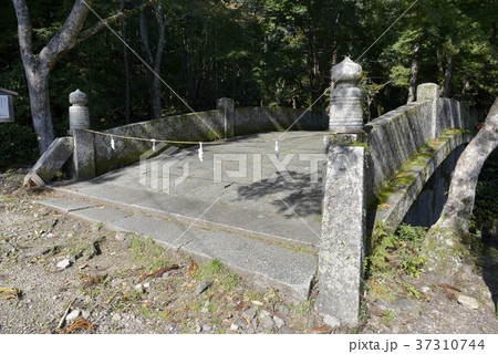 日吉大社　二宮橋 37310744