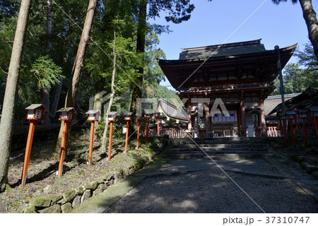 日吉大社　東本宮 37310747