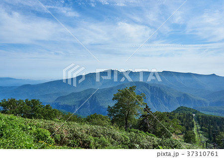 北海道　黒岳からのニセイカウシュッペ山 37310761
