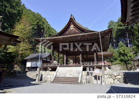 日吉大社　東本宮拝殿 37310824