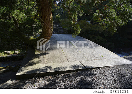 日吉大社 走井橋 日吉大社 走井橋 37311251
