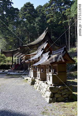 日吉大社 白山宮 日吉大社 白山宮 37311648
