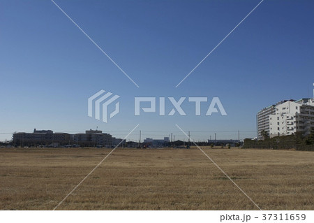 浦安市 空き地 浦安市 空き地 37311659