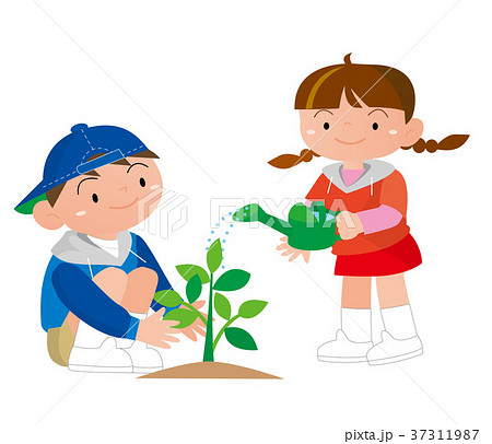 苗木を植える 男の子と水やりをする女の子 のイラスト素材