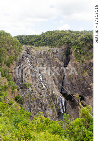キュランダの滝 37313116