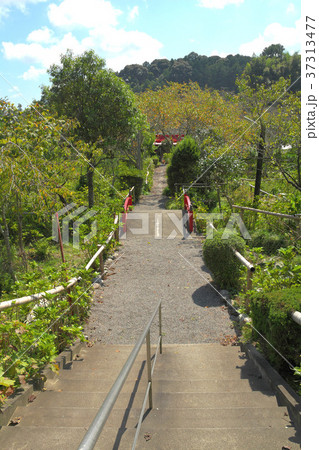遠州　極楽寺 37313477