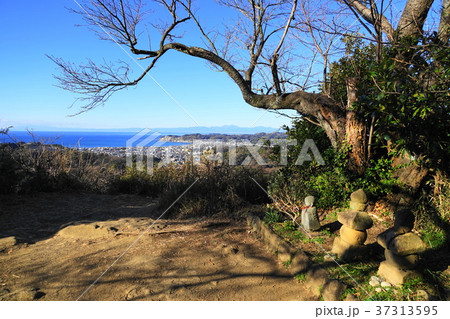 1月 鎌倉426鎌倉市街・衣張山山頂 1月 鎌倉426鎌倉市街・衣張山山頂 37313595