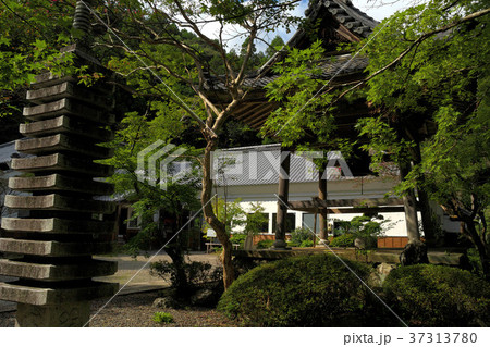 夏の大洞院 37313780