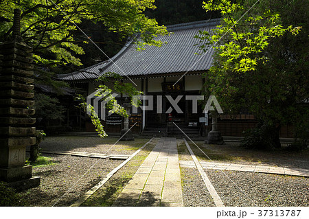 夏の大洞院 夏の大洞院 37313787