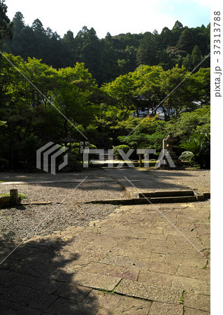 夏の大洞院 夏の大洞院 37313788