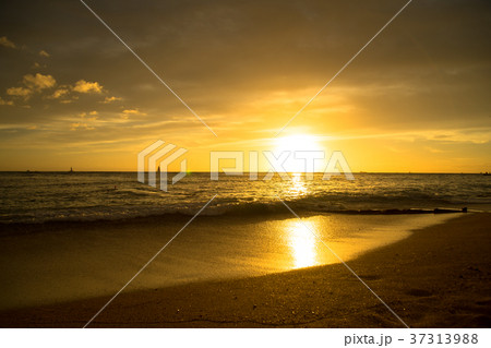 ハワイの夕日 ハワイの夕日 37313988