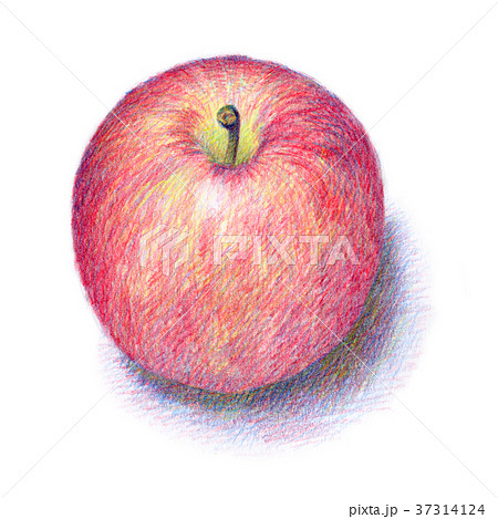 色鉛筆で描いたりんごのイラスト素材