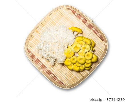 珍しいキノコ 珍しいキノコ 37314239