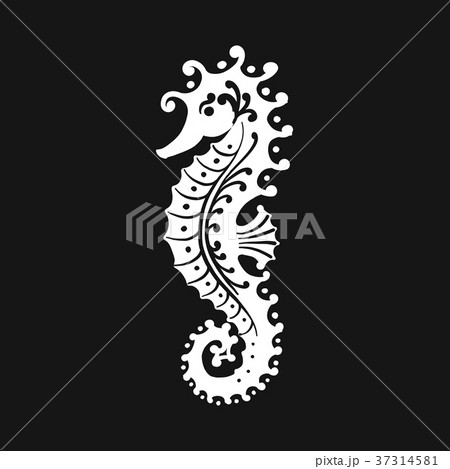 Seahorse Silhouette Sketch For Your Designのイラスト素材