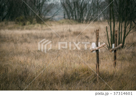 Grave of the fallen soldiers in the field 37314601