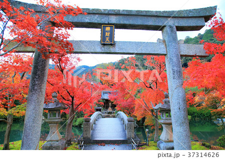 岩垣紅葉 永観堂 岩垣紅葉 永観堂 37314626