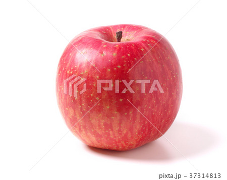 りんご（信州りんご） 37314813