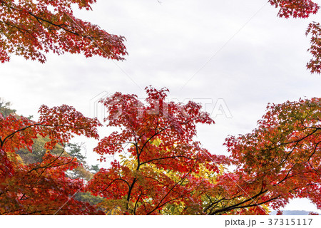 山 ベクアムサン 白羊寺 37315117