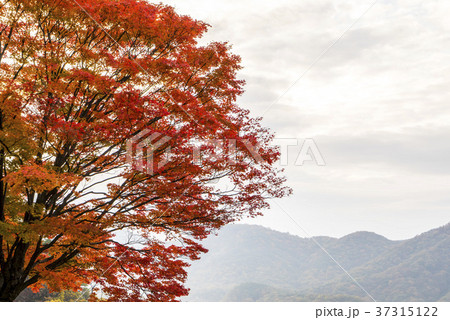 山 ベクアムサン 白羊寺 37315122