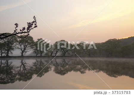 空 夜明け 霧 37315783