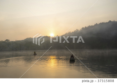 空 霧 植物 37315808