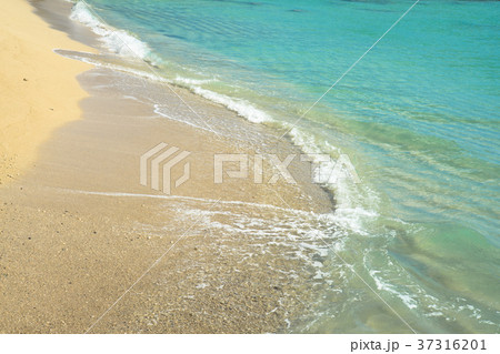 ハワイの浜辺 37316201