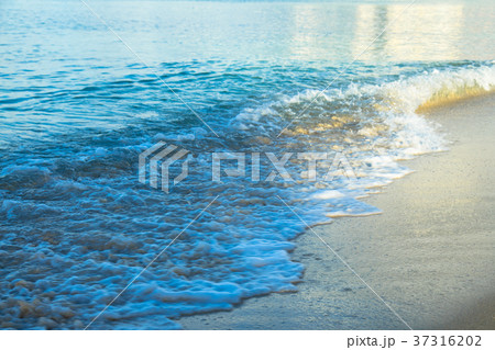ハワイの浜辺 37316202