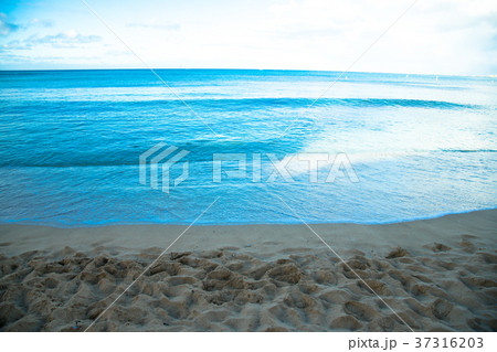 ハワイの浜辺 ハワイの浜辺 37316203