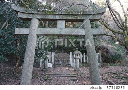 新羅三郎義光の墓 新羅三郎義光の墓 37316286