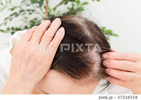 シニア ヘアケア シニア ヘアケア 37316558