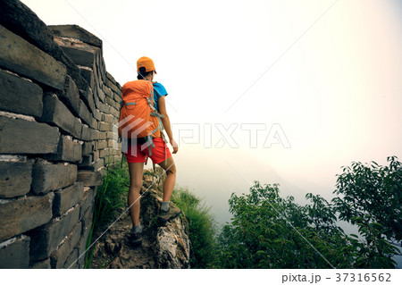 woman hiker hiking on the top of mountain woman hiker hiking on the top of mountain 37316562