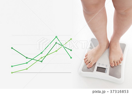 脂肪　メタボ　グラフ　ダイエット　　顔無し 37316853