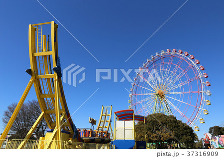ひたち海浜公園の観覧車 37316909