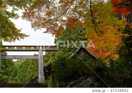 日向大神宮 日向大神宮 37316932