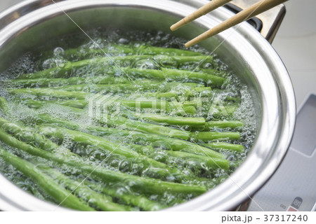 サヤインゲンを茹でる サヤインゲンを茹でる 37317240
