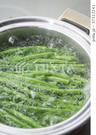 サヤインゲンを茹でる サヤインゲンを茹でる 37317241