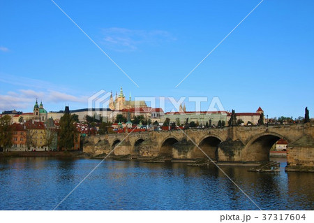 プラハ城とカレル橋 プラハ城とカレル橋 37317604