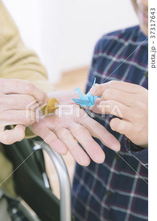 折り紙を折るおばあちゃんと女の子　ボディパーツ　パーツカット 37317643